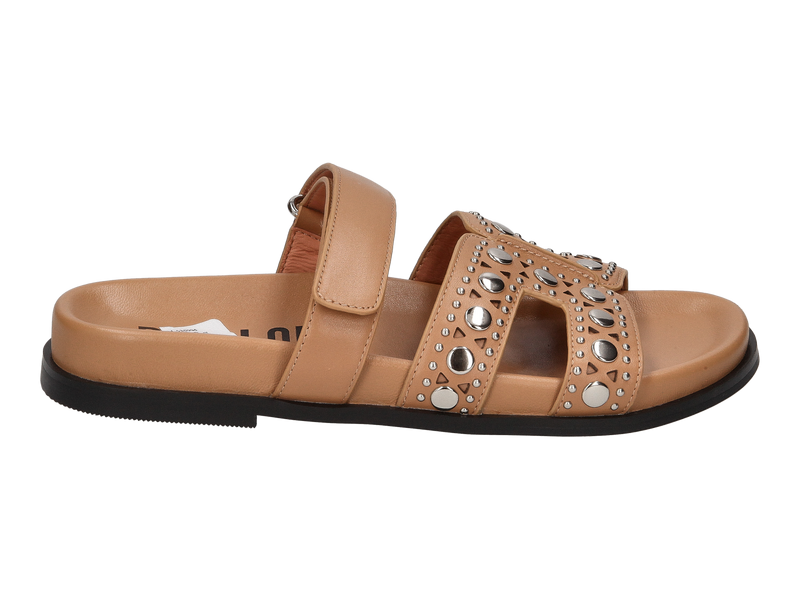 Bibi Lou Mules Camel