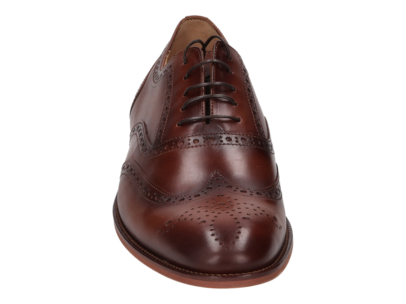 Conhpol Lace Shoes Brown