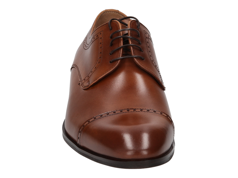 Conhpol Lace Shoes Brown