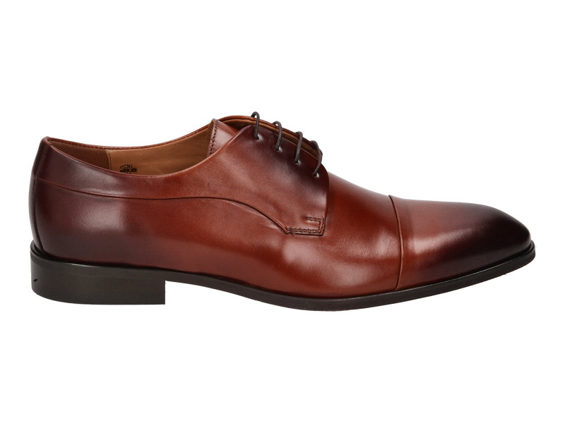 Conhpol Lace Shoes Brown