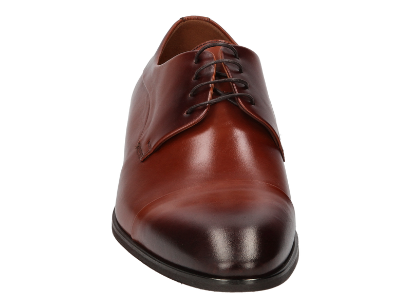 Conhpol Lace Shoes Brown