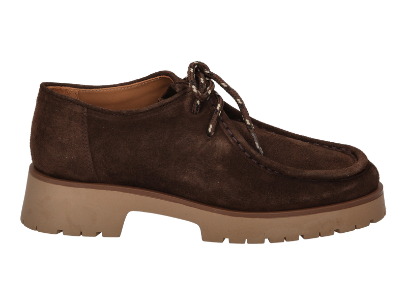 View product 'Ctwlk Lace Shoes Brown' Ctwlk Lace Shoes Brown