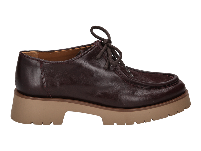 View product 'Ctwlk Lace Shoes Bordeaux' Ctwlk Lace Shoes Bordeaux