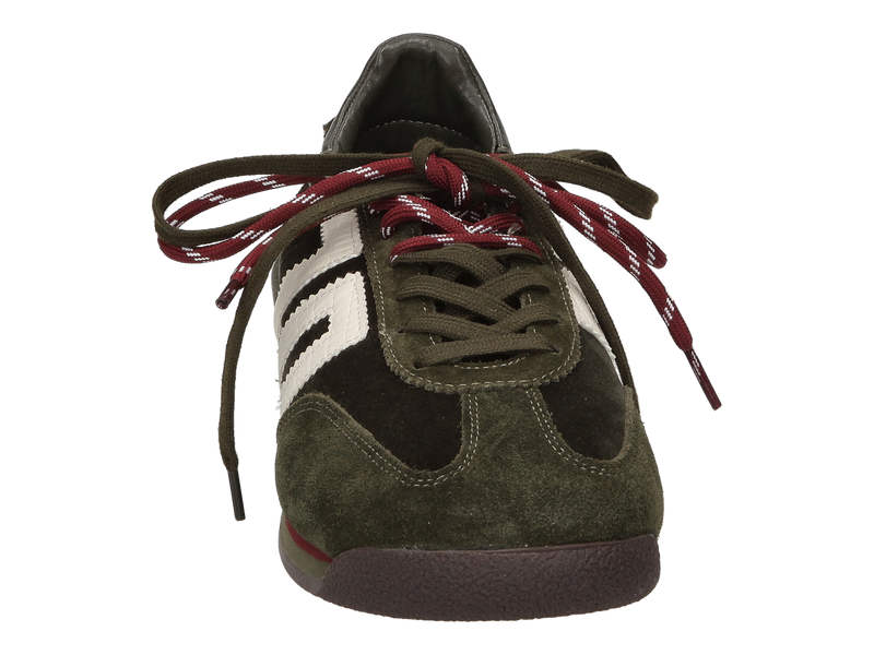 Voir le produit 'Back 70 Baskets Vert' (en anglais) Back 70 Baskets Vert