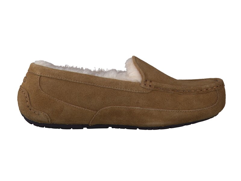 Bekijk product 'Ugg Pantoffels Cognac' Ugg Pantoffels Cognac