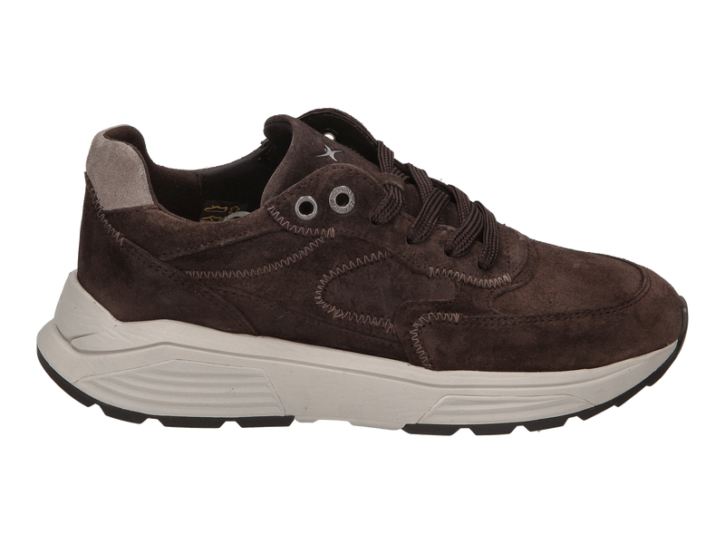 Xsensible Sneakers Bruin