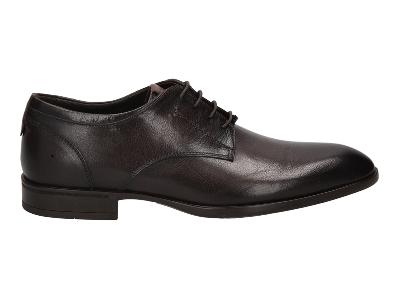Giorgio Chaussures à Lacets Brun