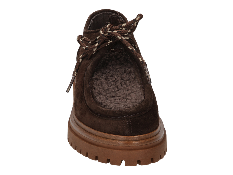 Ctwlk Veters Bruin