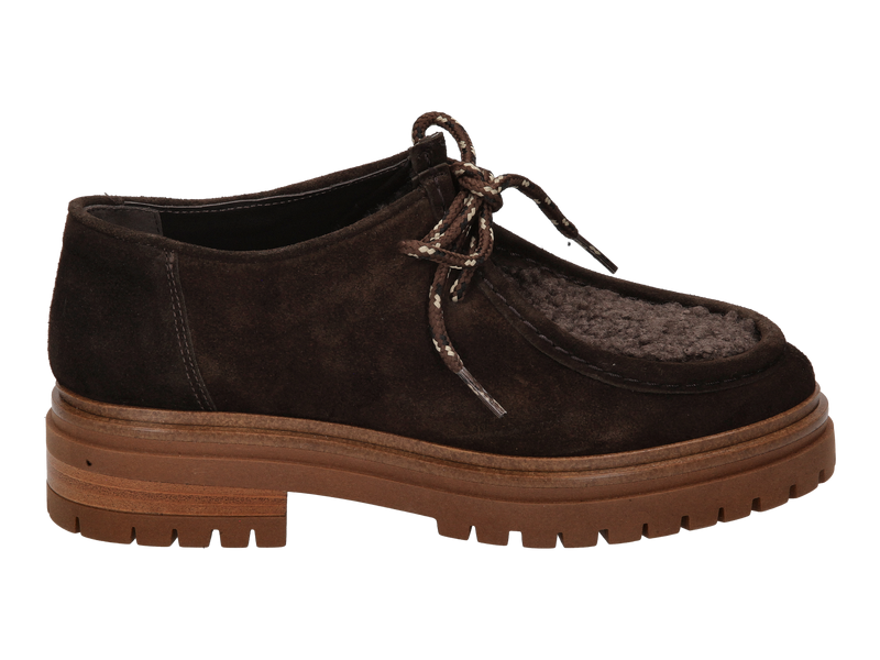 Ctwlk Veters Bruin