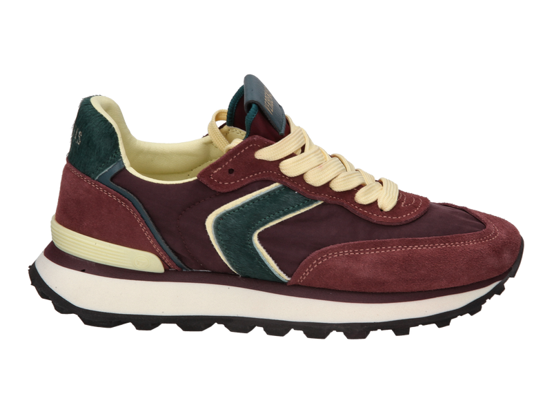 Voir le produit 'Verbenas Baskets Bordeaux' (en anglais) Verbenas Baskets Bordeaux