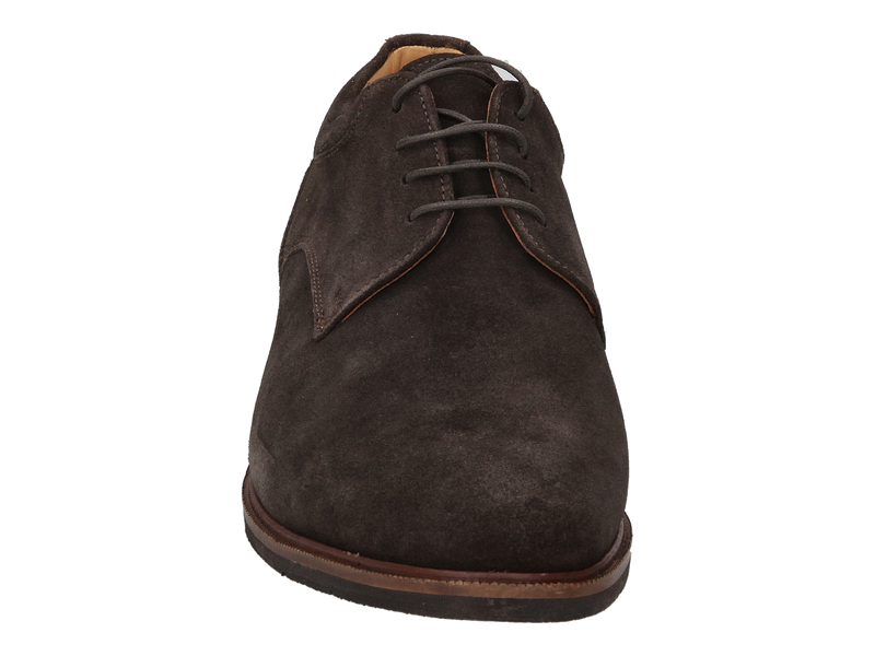 View product 'Ambiorix Lace Shoes Brown' Ambiorix Lace Shoes Brown