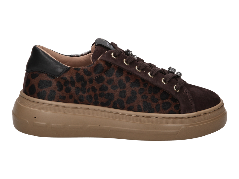 Stokton Baskets Brun