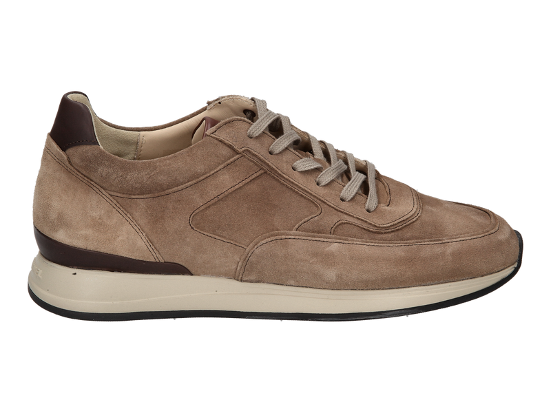 Van Bommel Sneakers Beige