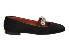 Prosperine Ballerines Brun