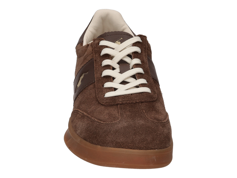 Polo Ralph Lauren Baskets Brun