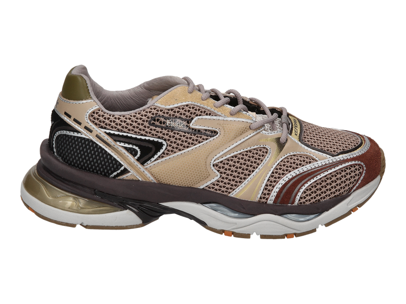 Voir le produit 'Etonic Baskets Or' (en anglais) Etonic Baskets Or