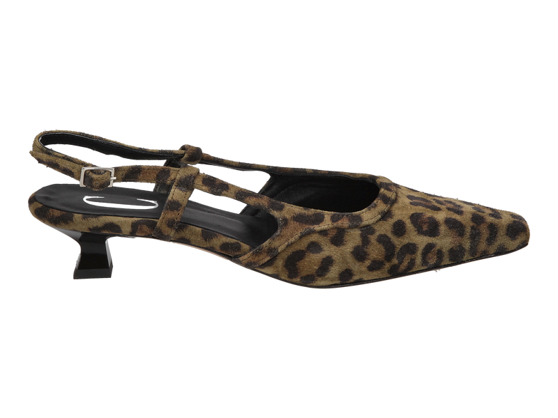 Cara Rosa Pumps Leopard
