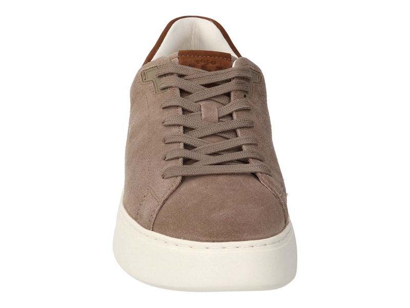 Polo Ralph Lauren Sneakers Taupe
