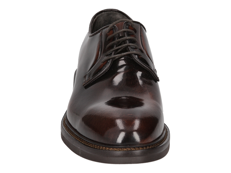 Dino Draghi Lace Shoes Brown