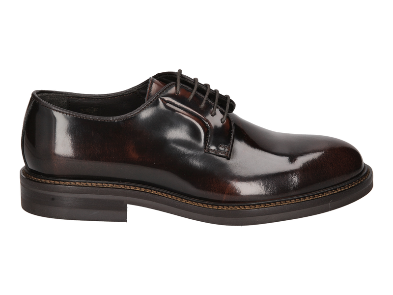 Dino Draghi Lace Shoes Brown